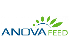 ANOVA FEED ANOVA FEED